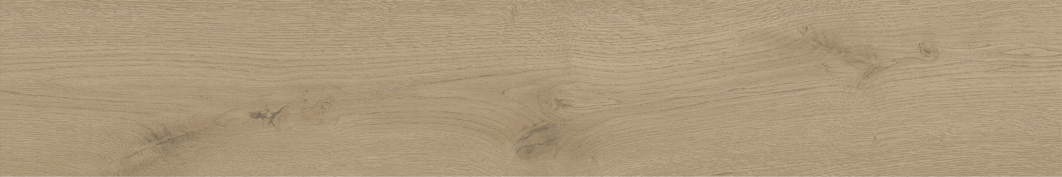Керамогранит Atlas Concorde Entice 20.0x120.0 Ash Oak Grip фон (A845)