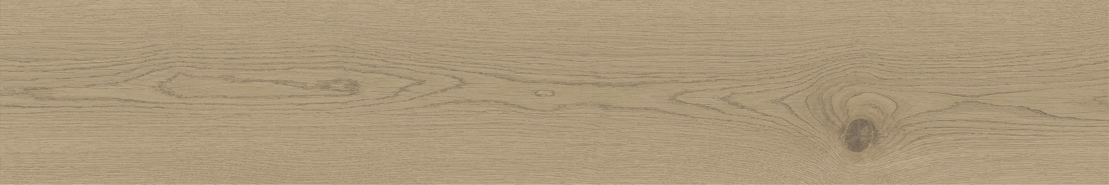 Керамогранит Atlas Concorde Entice 20.0x120.0 Ash Oak Grip фон (A845)
