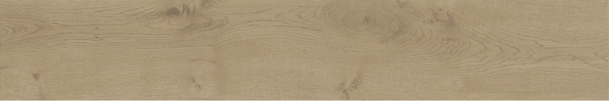 Керамогранит Atlas Concorde Entice 20.0x120.0 Ash Oak Grip фон (A845)