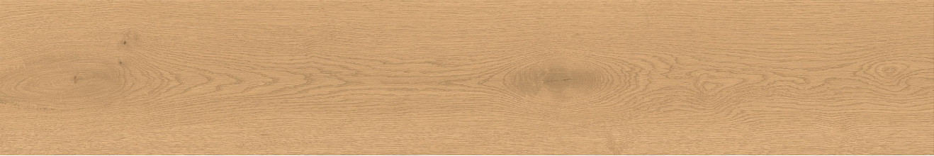 Керамогранит Atlas Concorde Entice 20.0x120.0 Pale Oak Grip фон (A842)