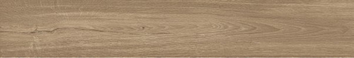 Керамогранит Atlas Concorde Russia Fusion Oak 20x120 дерево Голден | фон