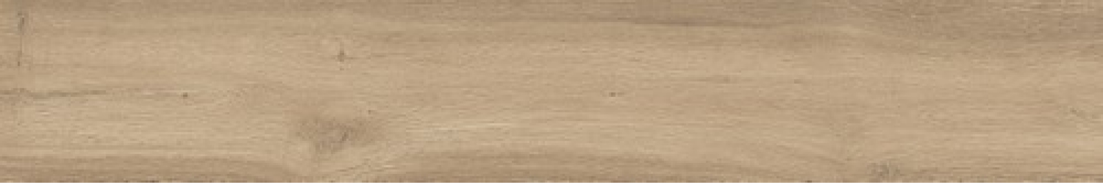 Керамогранит Atlas Concorde Russia Fusion Oak 20x120 дерево Нэчурал | фон