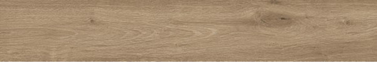 Керамогранит Atlas Concorde Russia Fusion Oak 20x120 дерево Голден | фон