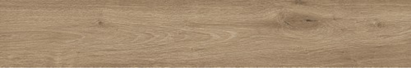 Керамогранит Atlas Concorde Russia Fusion Oak 20x120 дерево Голден | фон