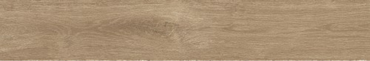 Керамогранит Atlas Concorde Russia Fusion Oak 20x120 дерево Голден | фон