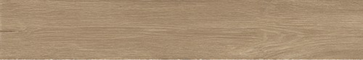Керамогранит Atlas Concorde Russia Fusion Oak 20x120 дерево Голден | фон
