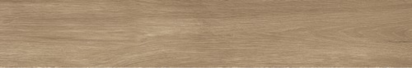 Керамогранит Atlas Concorde Russia Fusion Oak 20x120 дерево Голден | фон