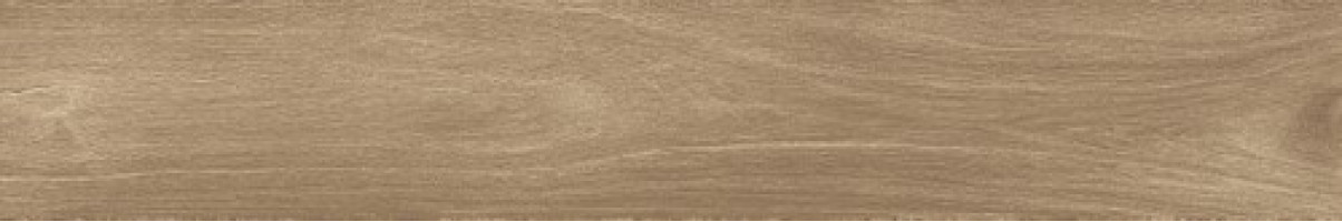 Керамогранит Atlas Concorde Russia Fusion Oak 20x120 дерево Голден | фон