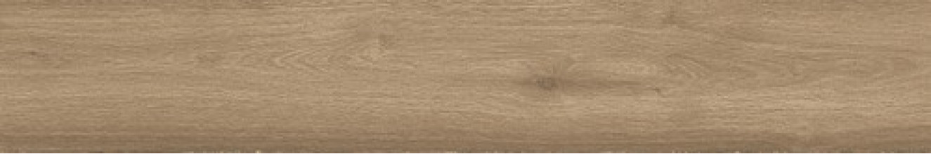 Керамогранит Atlas Concorde Russia Fusion Oak 20x120 дерево Голден | фон Grip