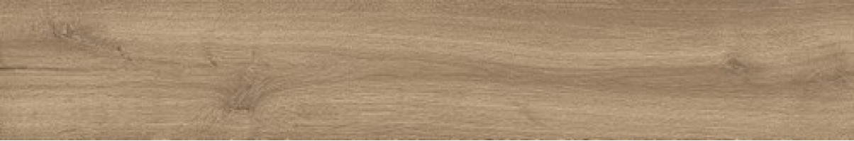 Керамогранит Atlas Concorde Russia Fusion Oak 20x120 дерево Голден | фон