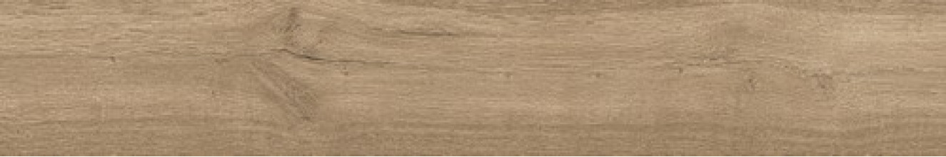 Керамогранит Atlas Concorde Russia Fusion Oak 20x120 дерево Голден | фон