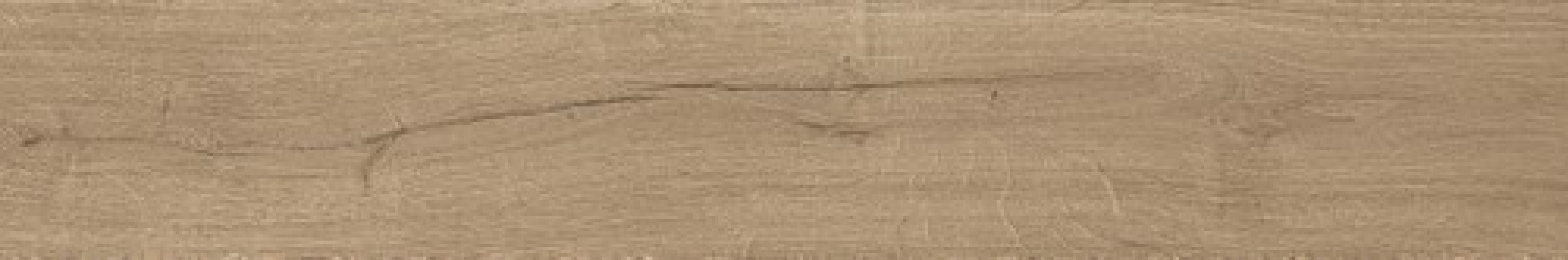 Керамогранит Atlas Concorde Russia Fusion Oak 20x120 дерево Голден | фон