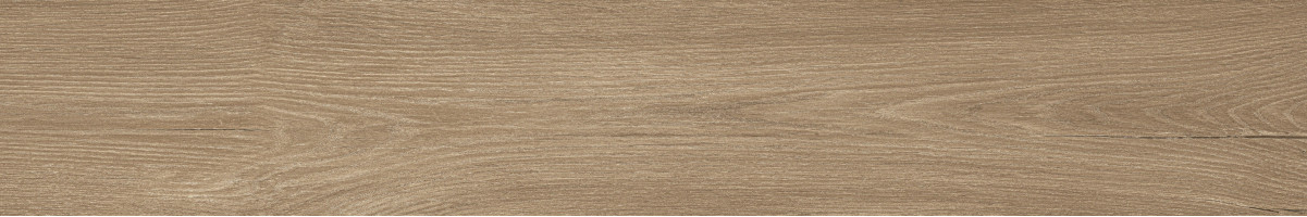 Керамогранит Atlas Concorde Russia Fusion Oak 20x120 дерево Голден | фон