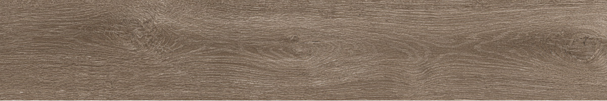 Керамогранит Atlas Concorde Russia Fusion Oak 20x120 дерево Рустик | фон