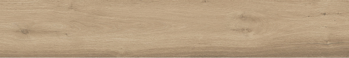 Керамогранит Atlas Concorde Russia Fusion Oak 20x120 дерево Нэчурал | фон