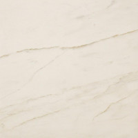 Керамогранит Atlas Concorde Marvel Pro Cremo Delicato 60x60 см AVGD