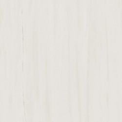 Керамогранит Atlas Concorde Marvel Stone Bianco Dolomite 60x60 см AZRI
