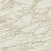 Керамогранит Atlas Concorde Marvel Edge Royal Calacatta 120x120 см AENP