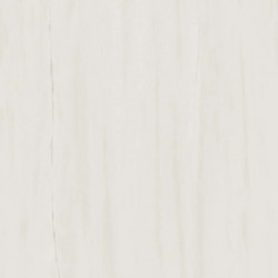 Керамогранит Atlas Concorde Marvel Stone Bianco Dolomite 160x160 см AO53