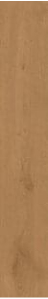 Керамогранит Atlas Concorde Entice 20.0x120.0 nan Copper Oak фон (A84Y)