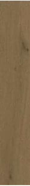 Керамогранит Atlas Concorde Entice 20.0x120.0 nan Browned Oak фон (A84Z)