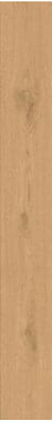Керамогранит Atlas Concorde Entice 18.5x150.0 nan Pale Oak фон (A8X6)