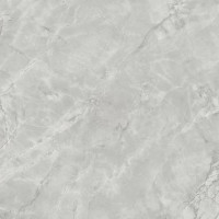 Керамогранит Atlas Concorde Marvel X Grey Cloud Lappato 120x120 см мрамор (AFU9)