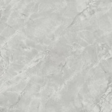 Керамогранит Atlas Concorde Marvel X Grey Cloud Silk 120x120 см мрамор (AFVM)