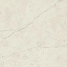 Керамогранит Atlas Concorde Marvel X Calacatta Perla Silk 120x120 см мрамор (AFVL)