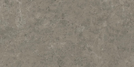 Керамогранит Atlas Concorde Marvel Meraviglia Grigio Elegante 120x278 см AJH5