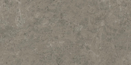 Керамогранит Atlas Concorde Marvel Meraviglia Grigio Elegante 120x278 см AJH5