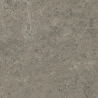 Керамогранит Atlas Concorde Marvel Meraviglia Grigio Elegante 120x120 см AJIF