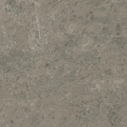 Керамогранит Atlas Concorde Marvel Meraviglia Grigio Elegante 120x120 см AJIF