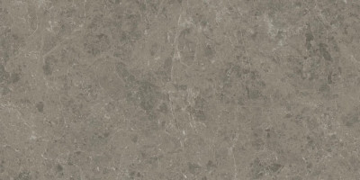 Керамогранит Atlas Concorde Marvel Meraviglia Grigio Elegante 60x120 см AI8R