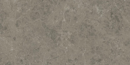 Керамогранит Atlas Concorde Marvel Meraviglia Grigio Elegante 60x120 см AI8R
