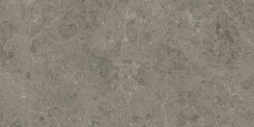 Керамогранит Atlas Concorde Marvel Meraviglia Grigio Elegante 60x120 см AI8R