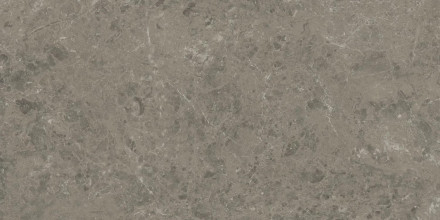 Керамогранит Atlas Concorde Marvel Meraviglia Grigio Elegante 60x120 см AJIU