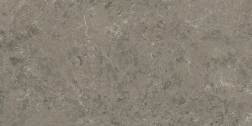 Керамогранит Atlas Concorde Marvel Meraviglia Grigio Elegante 60x120 см AJIU