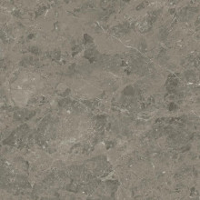 Керамогранит Atlas Concorde Marvel Meraviglia Grigio Elegante 60x60 см AJI8