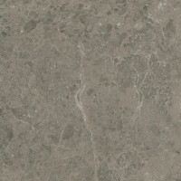 Керамогранит Atlas Concorde Marvel Meraviglia Grigio Elegante 60x60 см AJJD