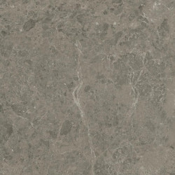 Керамогранит Atlas Concorde Marvel Meraviglia Grigio Elegante 60x60 см AJJD