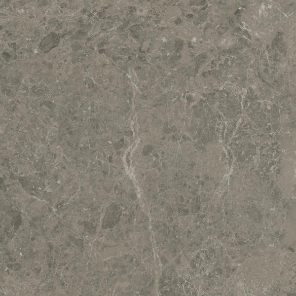 Керамогранит Atlas Concorde Marvel Meraviglia Grigio Elegante 60x60 см AJJD