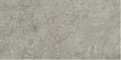 Керамогранит Atlas Concorde Marvel Meraviglia Silver Majestic 30x60 см AJJH