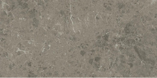 Керамогранит Atlas Concorde Marvel Meraviglia Grigio Elegante 30x60 см AJJI