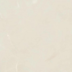 Керамогранит Atlas Concorde Marvel Onyx White 60x60 см AJBU