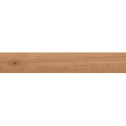 Керамогранит Atlas Concorde Log Cansei 20x120 см Darsena Grip