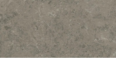 Керамогранит Atlas Concorde Marvel Meraviglia Grigio Elegante 60x120 см AKHO