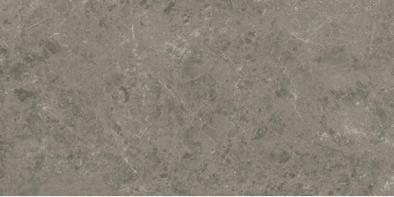 Керамогранит Atlas Concorde Marvel Meraviglia Grigio Elegante 60x120 см AKHO