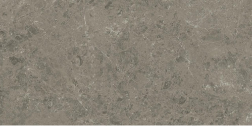 Керамогранит Atlas Concorde Marvel Meraviglia Grigio Elegante 60x120 см AKHO