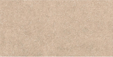 Керамогранит Atlas Concorde Lims 37.5x75 см Desert Bush Hammered